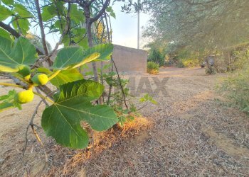 alberi da frutta - Villa via Antonino Gravina Il Bellicoso
 
26, Caltagirone - foto 14