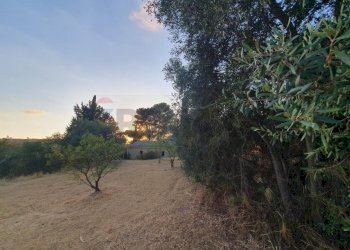 Giardino - Villa via Antonino Gravina Il Bellicoso
 
26, Caltagirone - foto 15