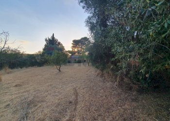 Giardino - Villa via Antonino Gravina Il Bellicoso
 
26, Caltagirone - foto 19