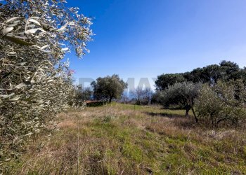 Giardino - Villa VIA TUZZONELLO, Sant'Alfio - foto 15