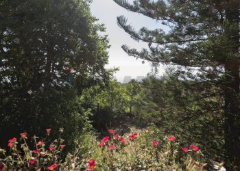 Giardino - Quadrilocale Via: Caramme
 
38, Valverde - foto 37