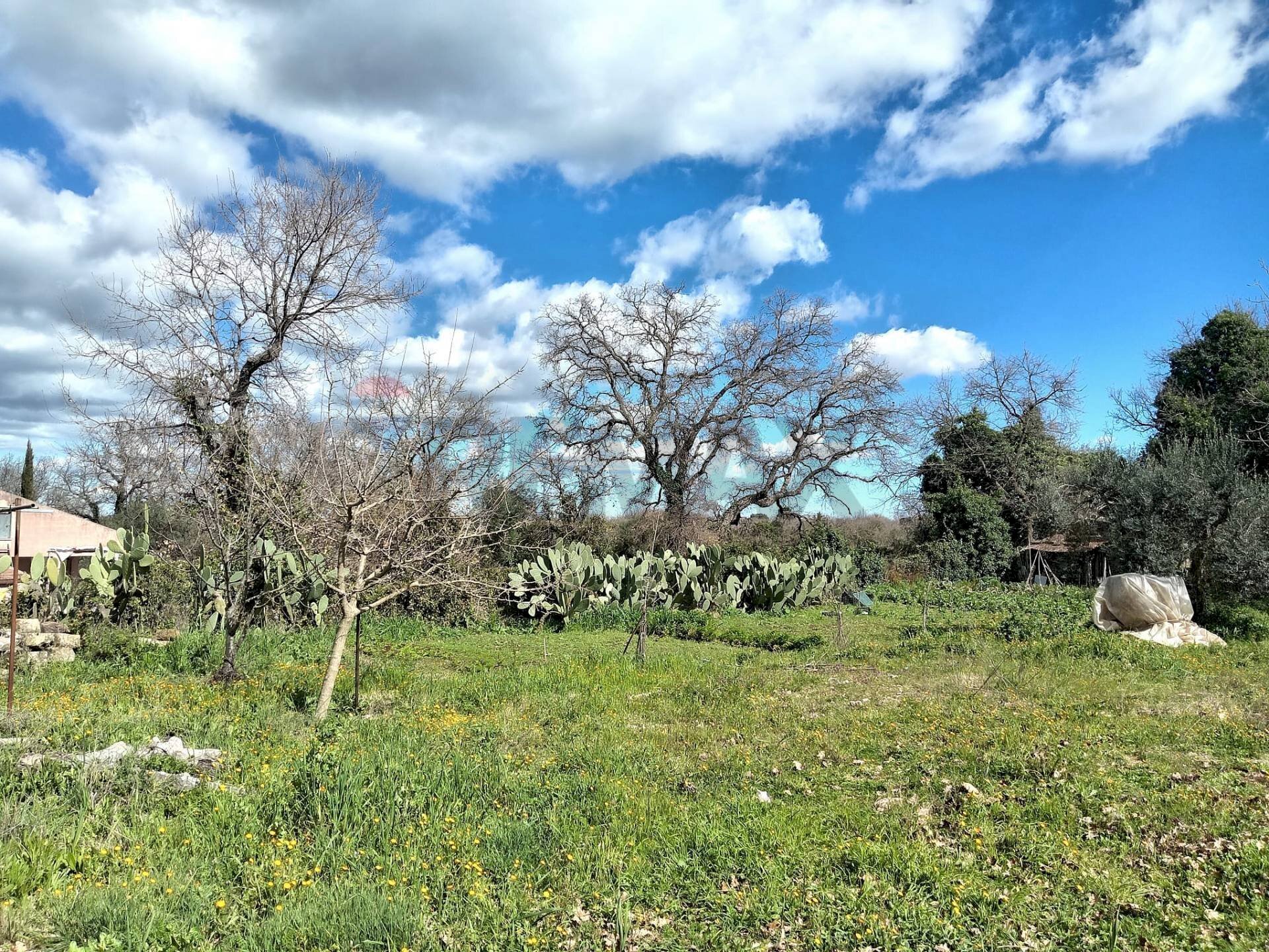 Giardino - Terreno agricolo Contrada Casabianca
 
sn, Palazzolo Acreide - foto 2