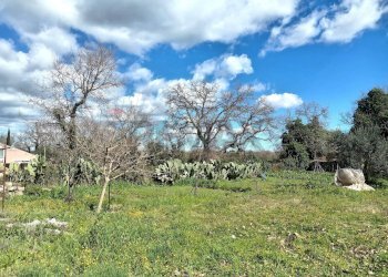 Giardino - Terreno agricolo Contrada Casabianca
 
sn, Palazzolo Acreide - foto 2