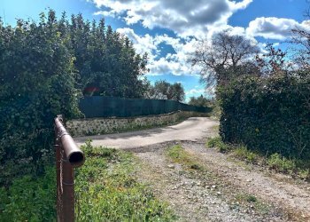 Giardino - Terreno agricolo Contrada Casabianca
 
sn, Palazzolo Acreide - foto 6