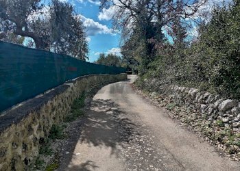 Vista delle montagne - Terreno agricolo Contrada Casabianca
 
sn, Palazzolo Acreide - foto 8