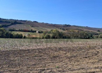 Vista delle montagne - Rustic San Costanzo - photo 7