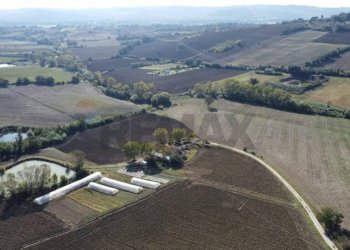 Vista delle montagne - Rustic San Costanzo - photo 11