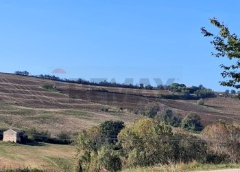 Vista delle montagne - Rustic San Costanzo - photo 13