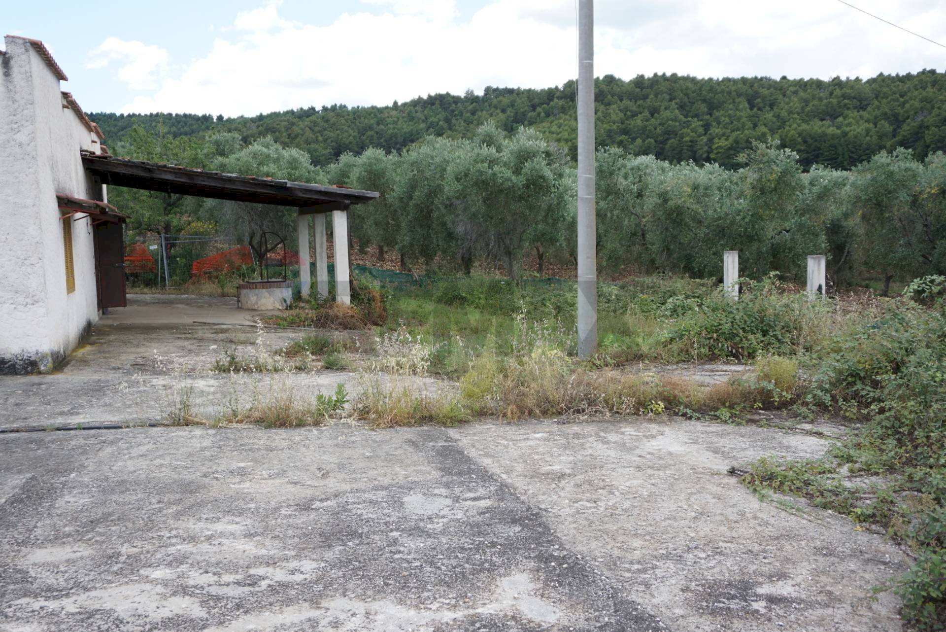 esterno - Villa Località Mandrione
 
SNC, Vieste - foto 3