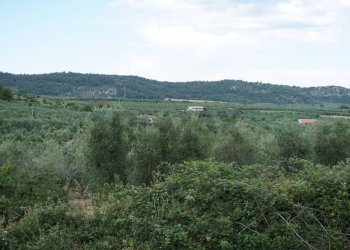 panorama - Villa Località Mandrione
 
SNC, Vieste - foto 10