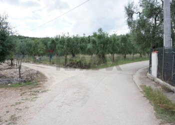 strada - Villa Località Mandrione
 
SNC, Vieste - foto 17