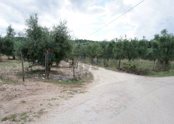 strada - Villa Località Mandrione
 
SNC, Vieste - foto 18