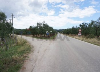 strada - Villa Località Mandrione
 
SNC, Vieste - foto 19