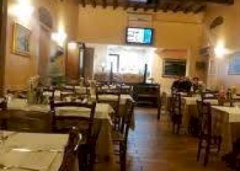 Foto 3 - Attività Commerciale via statale abetone
 
-, San Giuliano Terme - foto 3