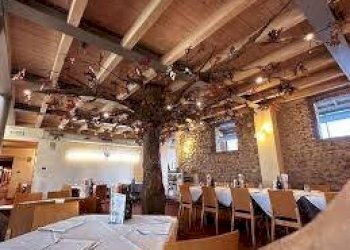 Foto 5 - Attività Commerciale via statale abetone
 
-, San Giuliano Terme - foto 5