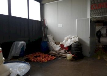 Foto 7 - Capannone via galvani, Montopoli in Val d'Arno - foto 7