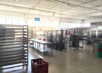 Foto 3 - Commercial Activity Via Piemonte
2, Casciana Terme Lari - photo 3