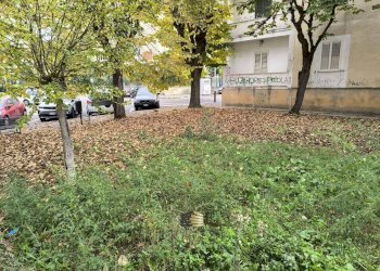 Foto 33 - Appartamento PIAZZA PAOLO IV
 
5, Chieti - foto 33