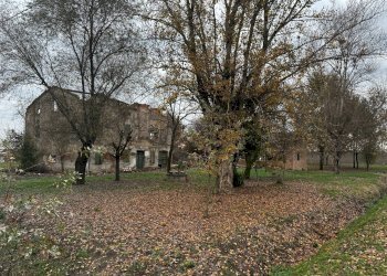 Foto 4 - Building land Mirandola - photo 4