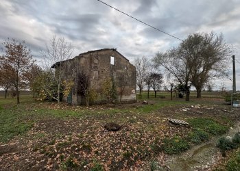 Foto 7 - Building land Mirandola - photo 7