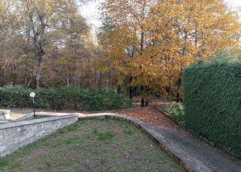 Giardino - Villa a Schiera Nebbiuno - foto 11