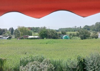 Giardino - Casa indipendente Vaprio d'Agogna - foto 4