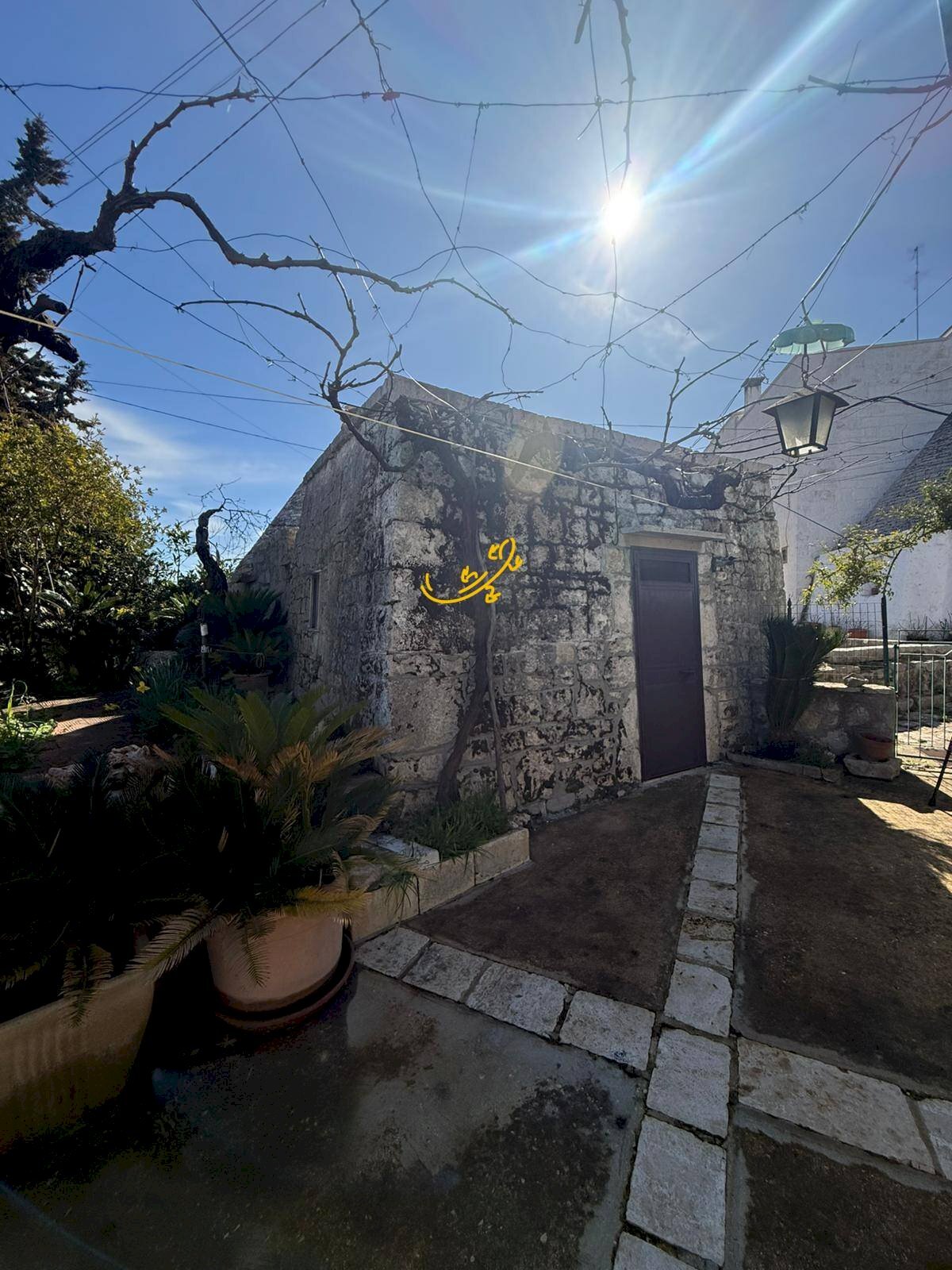 Foto 3 - Villa Contrada Quei di Carlo, Locorotondo - photo 3