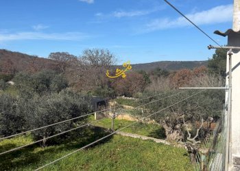 Foto 27 - Villa Contrada Quei di Carlo, Locorotondo - foto 27