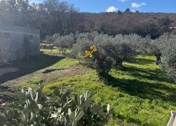 Foto 29 - Villa Contrada Quei di Carlo, Locorotondo - foto 29