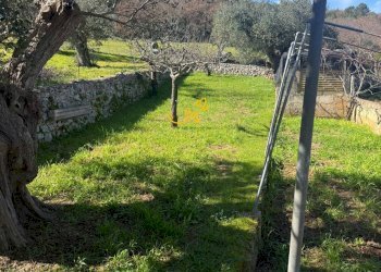 Foto 30 - Villa Contrada Quei di Carlo, Locorotondo - foto 30