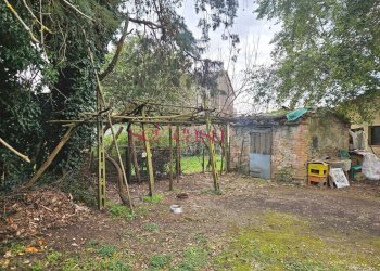 Foto 16 - Casa indipendente Monticiano - foto 16