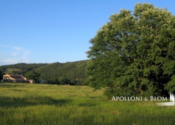 Rustic Via del Giro, 3, Civitella Paganico - photo 37