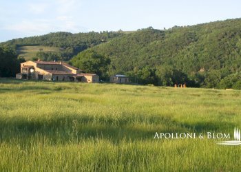 Rustic Via del Giro, 3, Civitella Paganico - photo 39