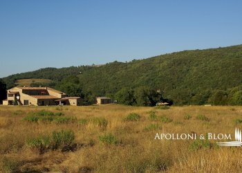 Rustic Via del Giro, 3, Civitella Paganico - photo 40