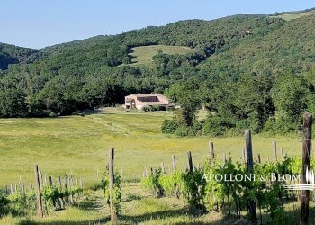 Rustic Via del Giro, 3, Civitella Paganico - photo 5