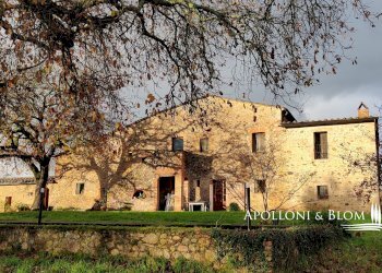 Rustic Via del Giro, 3, Civitella Paganico - photo 22