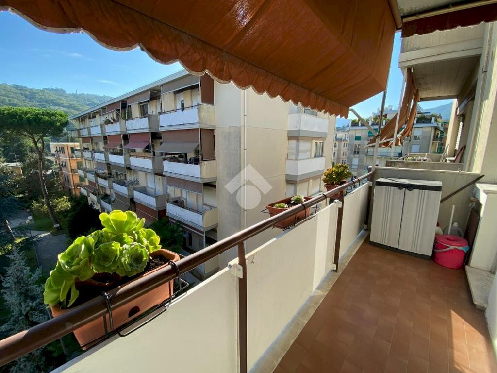 Trilocale Via A. Sciesa, Rapallo - foto 3