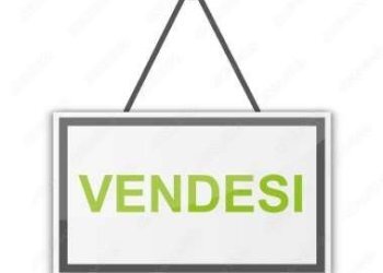 Pasticceria Vignola - foto 5