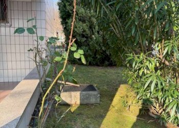 Quadrilocale Torino (zona Mirafiori Sud) - foto 2