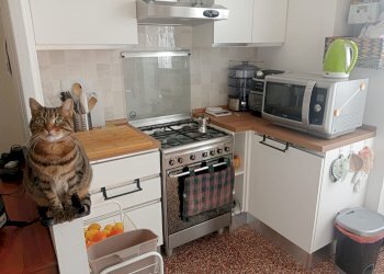 Trilocale vianson, Genova (zona Pegli) - foto 16