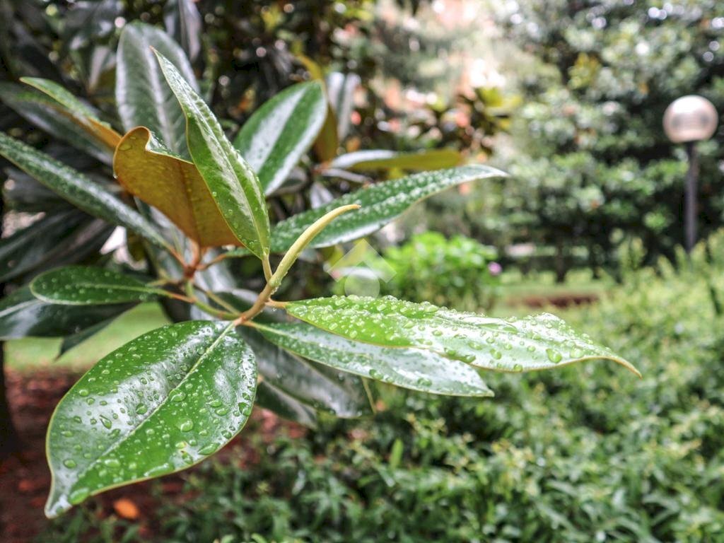 Bilocale Via Privata Belgirate, Milano (zona Maggiolina) - foto 1