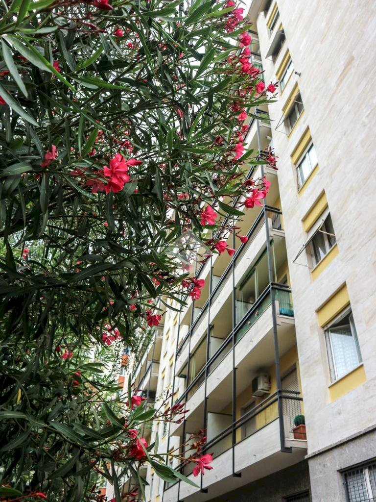 Bilocale Via Privata Belgirate, Milano (zona Maggiolina) - foto 2