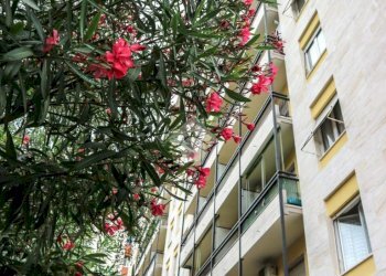 Bilocale Via Privata Belgirate, Milano (zona Maggiolina) - foto 2