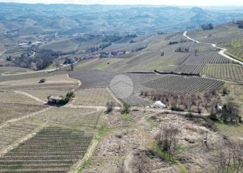 Casa semi indipendente Via Vassalli, La Morra - foto 25