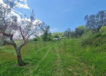 Foto 3 - Rustico Via Cerreto
 
38, Santopadre - foto 3