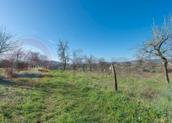 Foto 38 - Villa Contrada Morelli, Arpino - foto 38