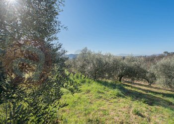 Foto 41 - Villa Contrada Morelli, Arpino - foto 41