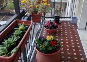 Foto 6 - Appartamento Via Santuario d'Oropa
 
20, Biella - foto 6