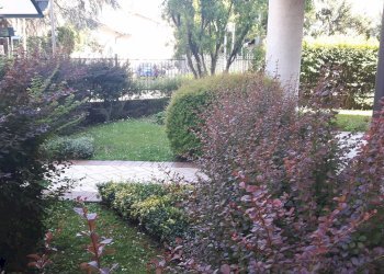 Foto 21 - Monolocale VIA ZAROLI, Legnano - foto 21