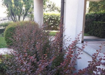 Foto 22 - Monolocale VIA ZAROLI, Legnano - foto 22